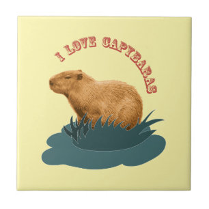 Ik hou van capibara's Knuffel capibara liefhebber Tegeltje