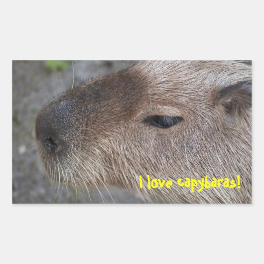 Ik hou van capibara's rechthoekige sticker (Voorkant)