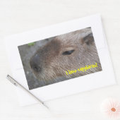 Ik hou van capibara's rechthoekige sticker (Envelop)