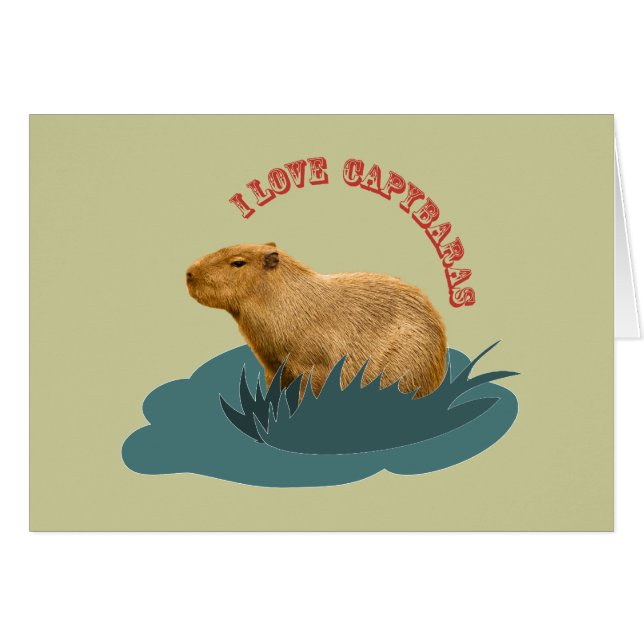 Ik hou van capybaras (Voorkant Horizontaal)
