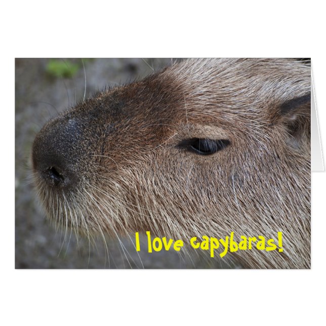 Ik hou van capybaras (Voorkant Horizontaal)