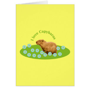 Ik hou van Capybaras