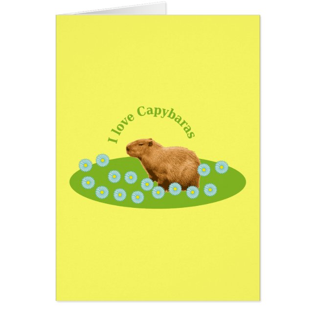 Ik hou van Capybaras (Voorkant)