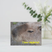 Ik hou van capybaras briefkaart (Staand voorkant)