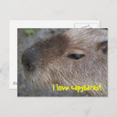 Ik hou van capybaras briefkaart (Voorkant / Achterkant)