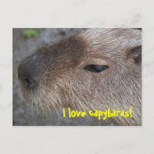 Ik hou van capybaras briefkaart (Voorkant)
