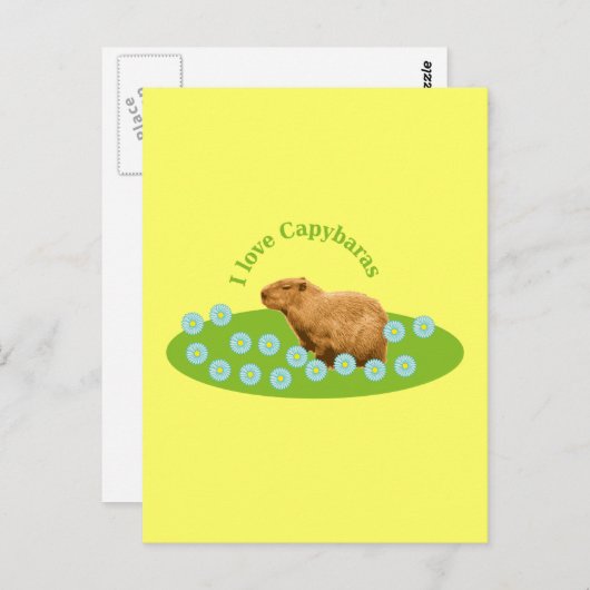 Ik hou van Capybaras Briefkaart (Voorkant / Achterkant)