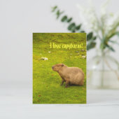 Ik hou van capybaras Briefkaart (Staand voorkant)
