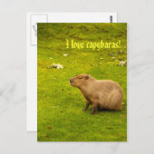 Ik hou van capybaras Briefkaart (Voorkant / Achterkant)