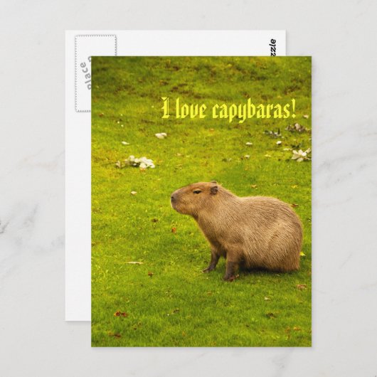 Ik hou van capybaras Briefkaart (Voorkant / Achterkant)