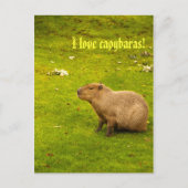 Ik hou van capybaras Briefkaart (Voorkant)