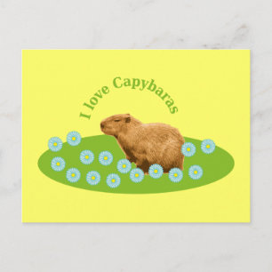 Ik hou van Capybaras Briefkaart