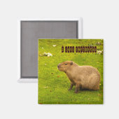 Ik hou van Capybaras Magneet (Voorkant / Achterkant)