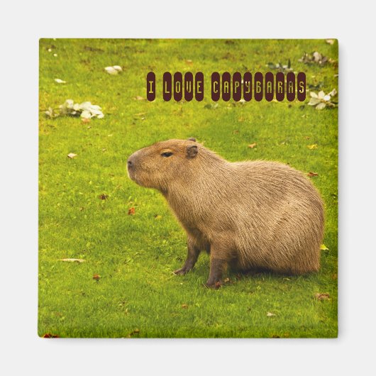 Ik hou van Capybaras Magnet (Voorkant)