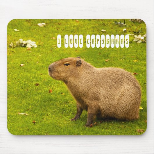 Ik hou van Capybaras Mousepad Muismat (Voorkant)