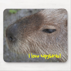 Ik hou van capybaras muismat