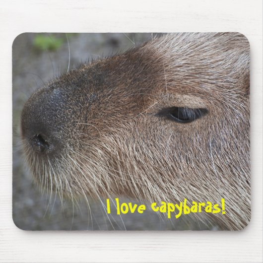 Ik hou van capybaras muismat (Voorkant)