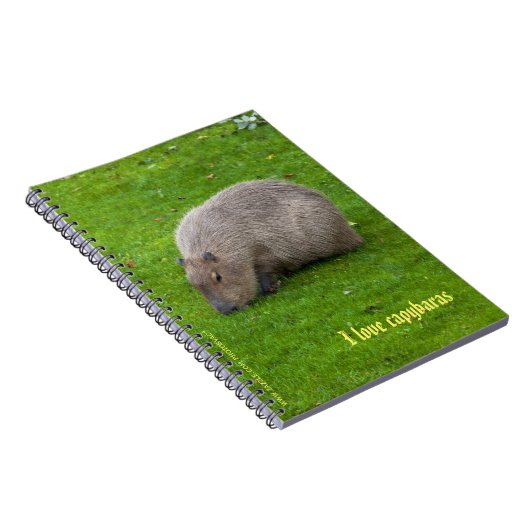 Ik hou van capybaras Notitieboek (Rechterzijde)