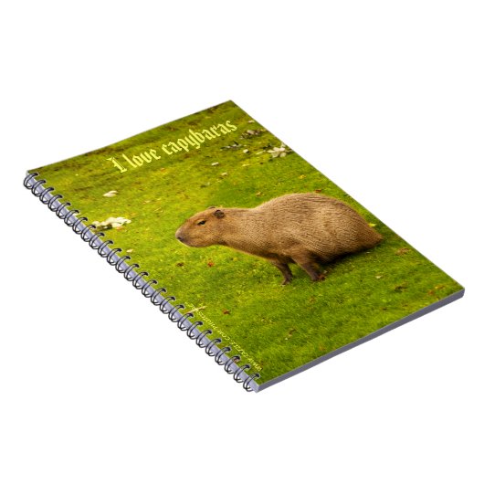 Ik hou van capybaras Notitieboek (Rechterzijde)