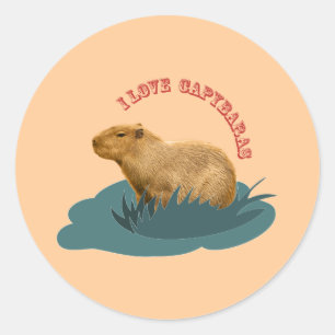Ik hou van capybaras ronde sticker