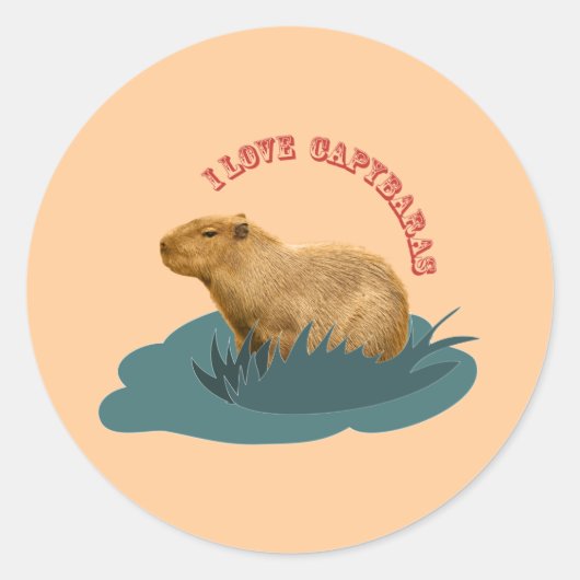 Ik hou van capybaras ronde sticker (Voorkant)
