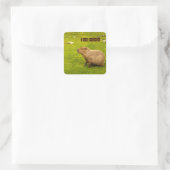 Ik hou van Capybaras Sticker (Tas)