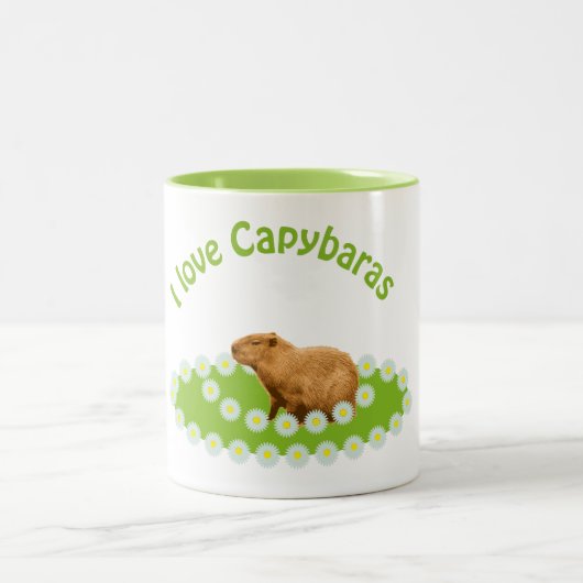Ik hou van Capybaras Tweekleurige Koffiemok (Center)