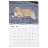 Ik hou van Cats 😻 Calendar Kalender (Mar 2027)