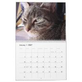 Ik hou van Cats 😻 Calendar Kalender (Jan 2027)