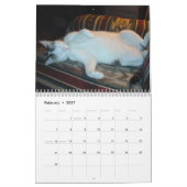Ik hou van Cats 😻 Calendar Kalender (Feb 2027)