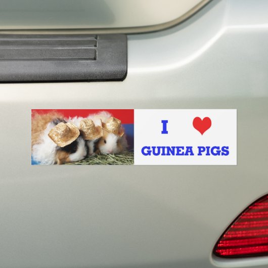 Ik hou van cavia's Bumpersticker (Op auto)