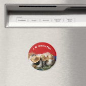 Ik hou van cavia's magneet (Insitu (Vaatwasser))