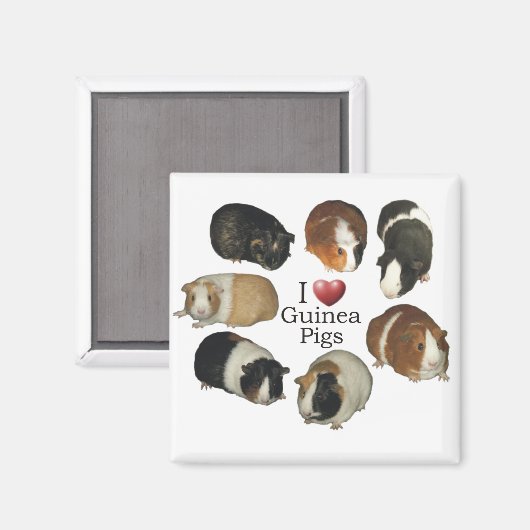 Ik hou van cavia's Magnet (Voorkant / Achterkant)