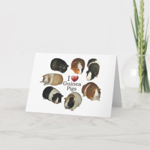 Ik hou van cavia's - NoteCard Kaart