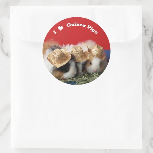 Ik hou van cavia's Stickers (Tas)