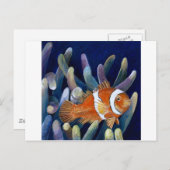 Ik hou van clownvis briefkaart (Voorkant / Achterkant)