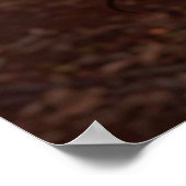 IK HOU VAN COCOA POSTER (Hoek)