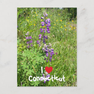 Ik hou van Connecticut Briefkaart