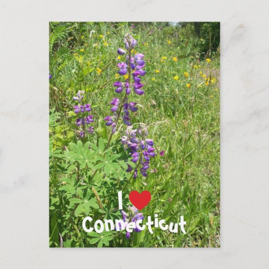 Ik hou van Connecticut Briefkaart (Voorkant)