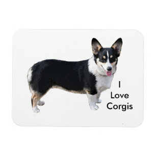 Ik hou van corgis magneet
