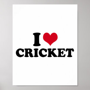 Ik hou van cricket poster