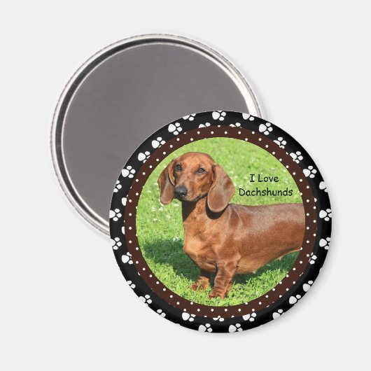 Ik hou van Dachshunds 2 Magneet (Voorkant / Achterkant)