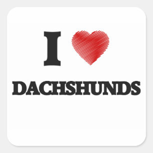 Ik hou van Dachshunds Vierkante Sticker