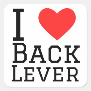 Ik hou van de achterste hendel vierkante sticker