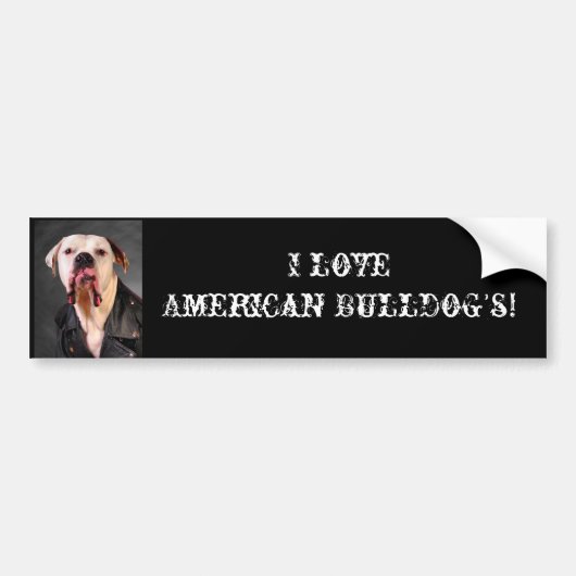 Ik hou van de Amerikaanse Bulldog. Bumpersticker (Voorkant)