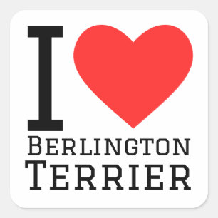 Ik hou van de Berlington Terrier Vierkante Sticker