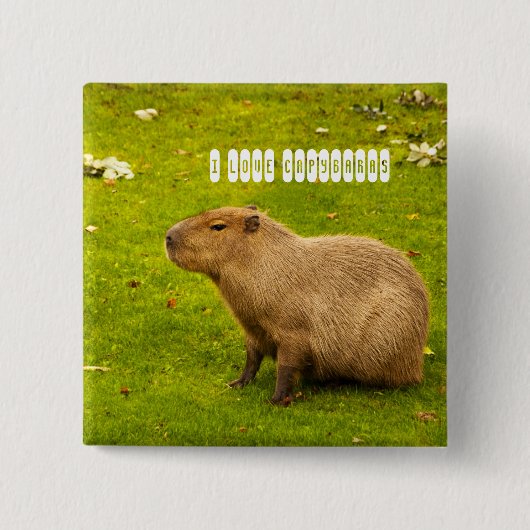Ik hou van de Capybaraknop Vierkante Button 5,1 Cm (Voorkant)