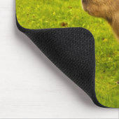 Ik hou van de Capybaras Muismat (Hoek)