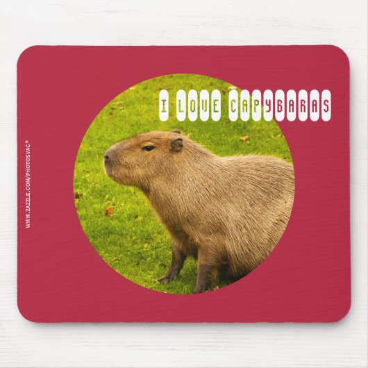 Ik hou van de Capybaras Muismat (Voorkant)