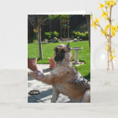 Ik hou van de Duitse Jubileum Shepherd Kaart (Gele Bloem)